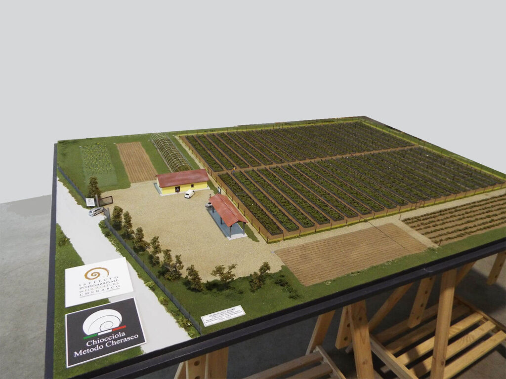 Modello in scala di un'azienda agricola con campi coltivati e strutture edilizie, metodo Chiocciola Cherasco.